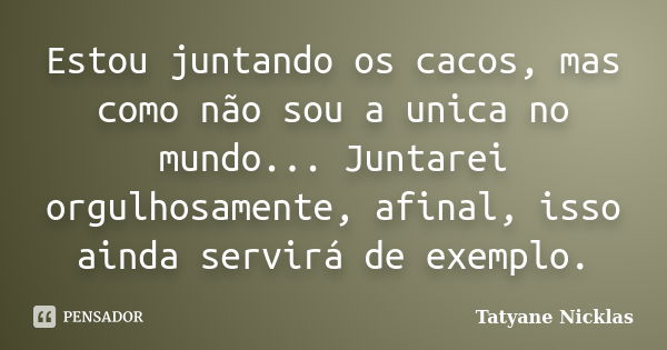 Estou juntando os cacos, mas como não sou a unica no mundo... Juntarei orgulhosamente, afinal, isso ainda servirá de exemplo.... Frase de Tatyane Nicklas.