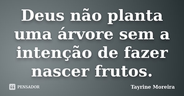 Deus não planta uma árvore sem a intenção de fazer nascer frutos.... Frase de Tayrine Moreira.