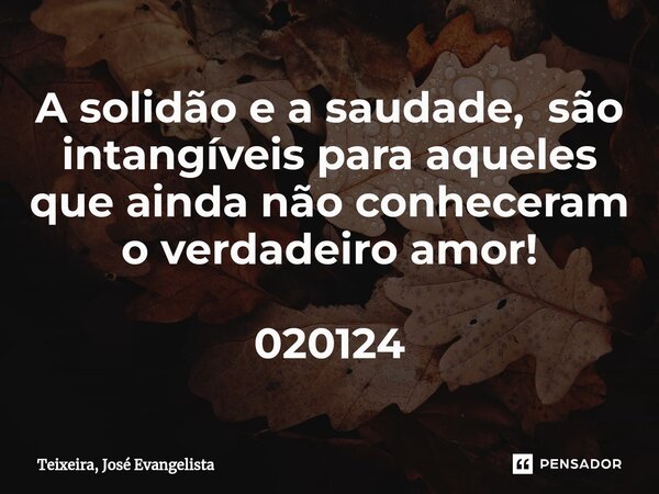 ⁠A solidão e a saudade, são intangíveis para aqueles que ainda não conheceram o verdadeiro amor! 020124... Frase de TEIXEIRA, José Evangelista.