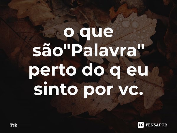 ⁠o que são "Palavra" perto do q eu sinto por vc.... Frase de Tek.