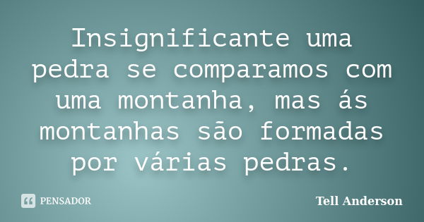 Insignificante uma pedra se comparamos com uma montanha, mas ás montanhas são formadas por várias pedras.... Frase de Tell Anderson.