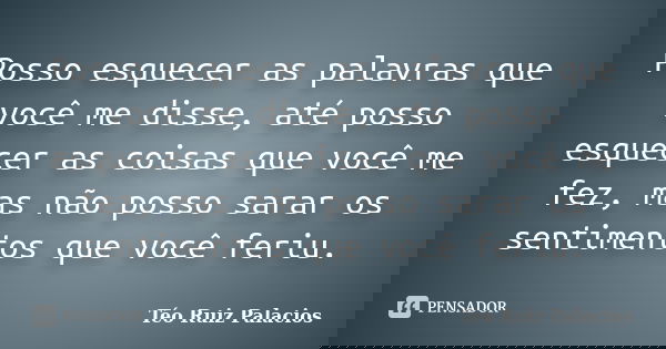 Posso esquecer as palavras que você me disse, até posso esquecer as coisas que você me fez, mas não posso sarar os sentimentos que você feriu.... Frase de Téo Ruiz Palacios.