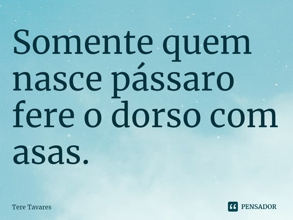 ⁠Somente quem nasce pássaro fere o dorso com asas.... Frase de Tere Tavares.