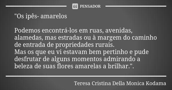 "Os ipês- amarelos Podemos encontrá-los em ruas, avenidas, alamedas, mas estradas ou à margem do caminho de entrada de propriedades rurais. Mas os que eu v... Frase de Teresa Cristina Della Monica Kodama.