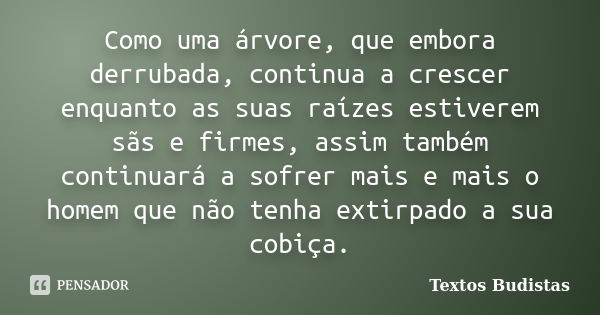 Como uma árvore, que embora derrubada, continua a crescer enquanto as suas raízes estiverem sãs e firmes, assim também continuará a sofrer mais e mais o homem q... Frase de Textos Budistas.