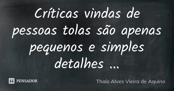 Críticas vindas de pessoas tolas são apenas pequenos e simples detalhes ...... Frase de Thaís Alves Vieira de Aquino.