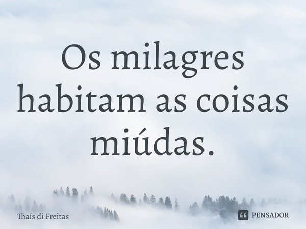 ⁠Os milagres habitam as coisas miúdas.... Frase de Thaís di Freitas.