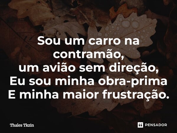⁠Sou um carro na contramão, um avião sem direção, Eu sou minha obra-prima E minha maior frustração.... Frase de Thales Tkzin.
