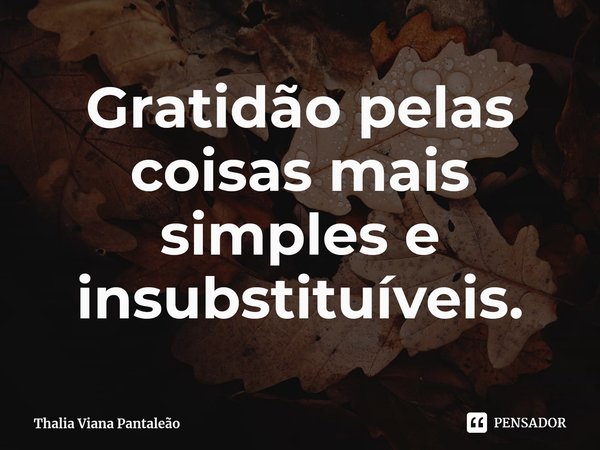 ⁠Gratidão pelas coisas mais simples e insubstituíveis.... Frase de Thalia Viana Pantaleão.
