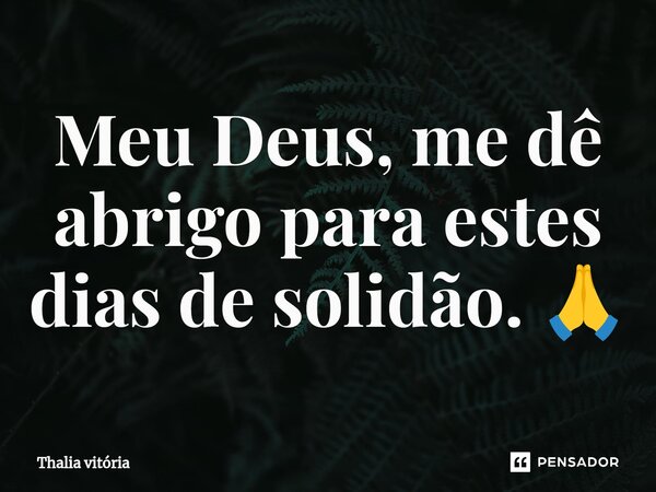 ⁠Meu Deus, me dê abrigo para estes dias de solidão. 🙏... Frase de Thalia vitória.