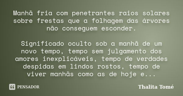 Manhã fria com penetrantes raios solares sobre frestas que a folhagem das árvores não conseguem esconder. Significado oculto sob a manhã de um novo tempo, tempo... Frase de Thalita Tomé.