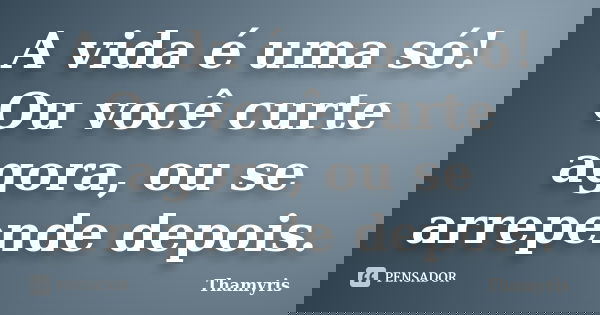 A vida é uma só! Ou você curte agora, ou se arrepende depois.... Frase de Thamyris.