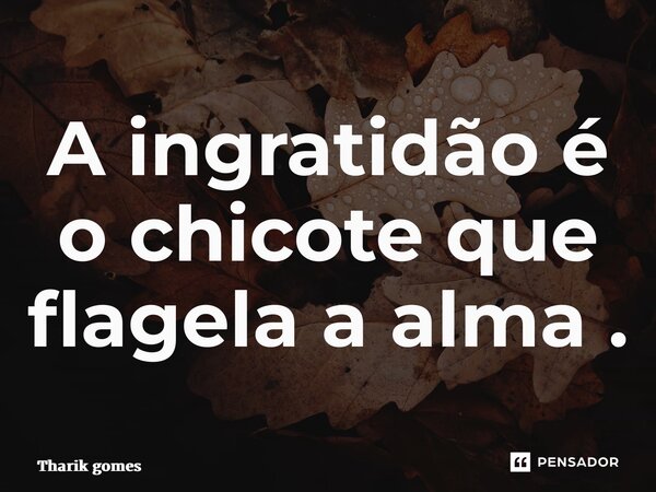 ⁠A ingratidão é o chicote que flagela a alma .... Frase de Tharik Gomes.