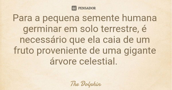 Para a pequena semente humana germinar em solo terrestre, é necessário que ela caia de um fruto proveniente de uma gigante árvore celestial.... Frase de The Dolphin.