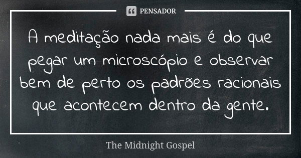 A meditação nada mais é do que pegar um microscópio e observar bem de perto os padrões racionais que acontecem dentro da gente.... Frase de The Midnight Gospel.