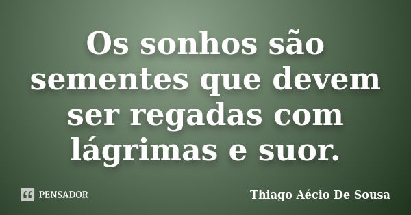 Os sonhos são sementes que devem ser regadas com lágrimas e suor.... Frase de Thiago Aécio de Sousa.