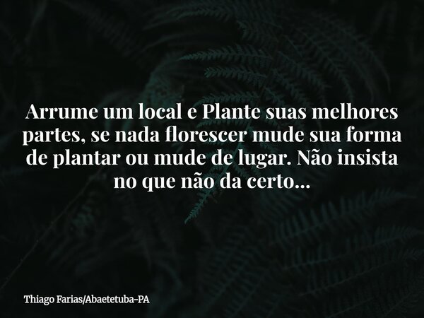 Arrume um local e Plante suas melhores partes, se nada florescer mude sua forma de plantar ou mude de lugar. Não insista no que não da certo...... Frase de Thiago FariasAbaetetuba-PA.