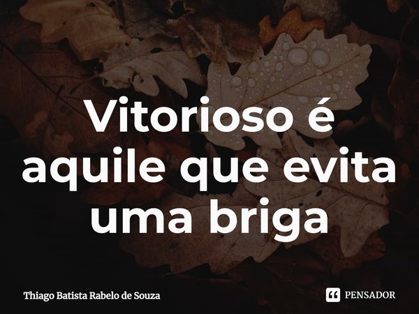 ⁠Vitorioso é aquele que evita uma briga... Frase de thiago batista rabelo de souza.
