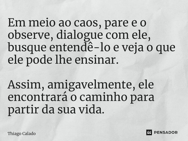 ⁠Em meio ao caos, pare e o observe, dialogue com ele, busque entendê-lo e veja o que ele pode lhe ensinar. Assim, amigavelmente, ele encontrará o caminho para p... Frase de Thiago Calado.