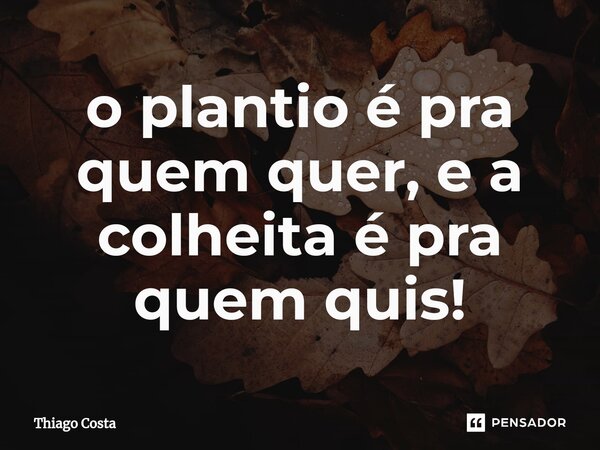 ⁠o plantio é pra quem quer, e a colheita é pra quem quis!... Frase de Thiago costa.