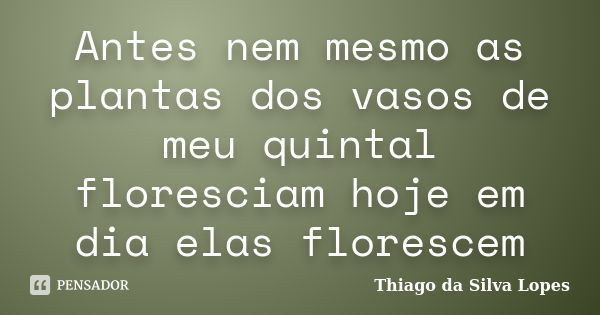 Antes nem mesmo as plantas dos vasos de meu quintal floresciam hoje em dia elas florescem... Frase de Thiago da Silva Lopes.