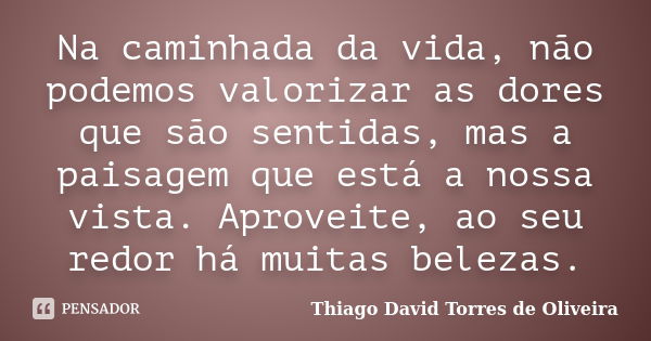 Na caminhada da vida, não podemos valorizar as dores que são sentidas, mas a paisagem que está a nossa vista. Aproveite, ao seu redor há muitas belezas.... Frase de Thiago David Torres de Oliveira.