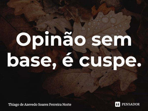 ⁠Opinão sem base, é cuspe.... Frase de Thiago de Azevedo Soares Ferreira Norte.