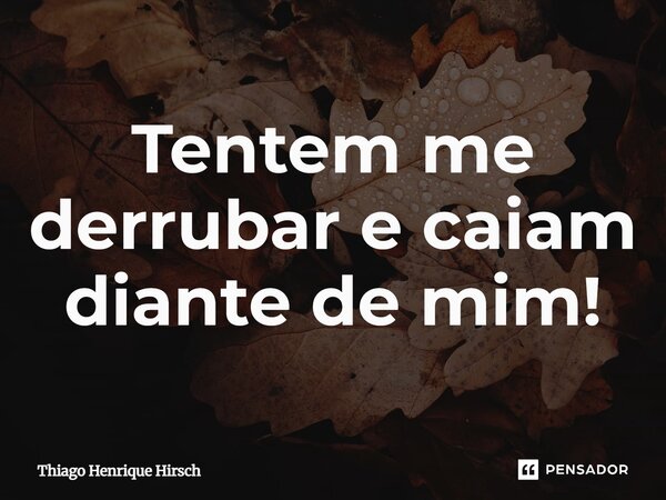 Tentem me derrubar e caiam diante de mim⁠!... Frase de Thiago Henrique Hirsch.