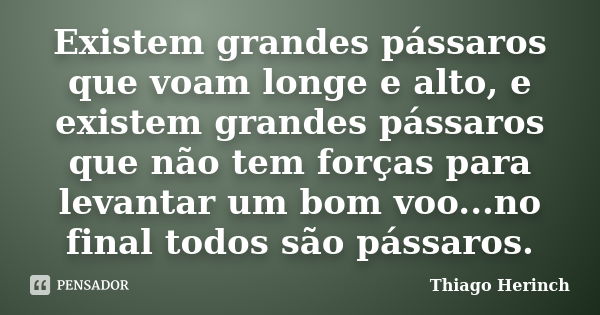 Existem grandes pássaros que voam longe e alto, e existem grandes pássaros que não tem forças para levantar um bom voo...no final todos são pássaros.... Frase de Thiago Herinch.