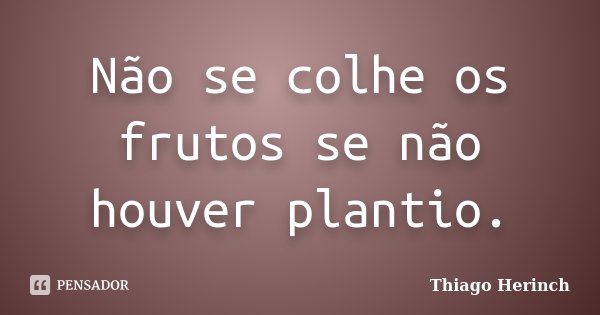 Não se colhe os frutos se não houver plantio.... Frase de Thiago Herinch.