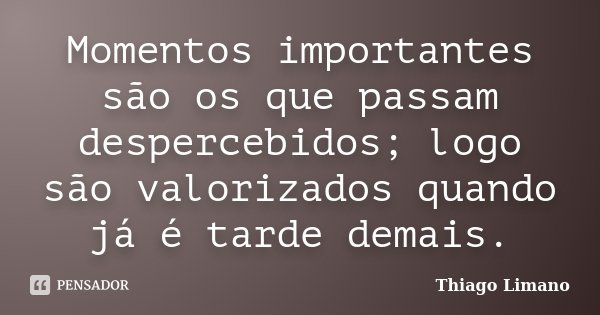 Momentos importantes são os que passam despercebidos; logo são valorizados quando já é tarde demais.... Frase de Thiago Limano.