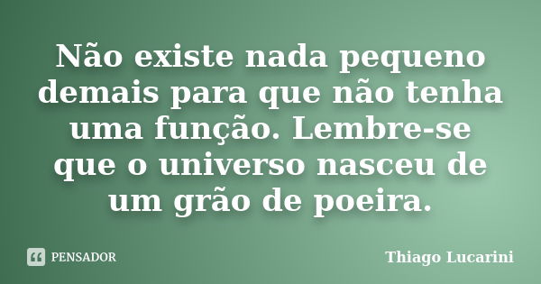 Não existe nada pequeno demais para que não tenha uma função. Lembre-se que o universo nasceu de um grão de poeira.... Frase de Thiago Lucarini.