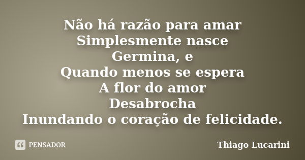 Não há razão para amar Simplesmente nasce Germina, e Quando menos se espera A flor do amor Desabrocha Inundando o coração de felicidade.... Frase de Thiago Lucarini.