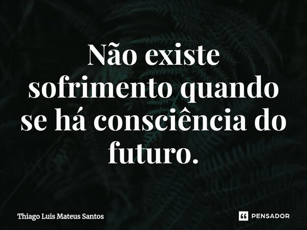⁠Não existe sofrimento quando se há consciência do futuro.... Frase de Thiago Luis Mateus Santos.