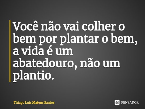 Você não vai colher o bem por plantar o bem⁠, a vida é um abatedouro, não um plantio.... Frase de Thiago Luis Mateus Santos.
