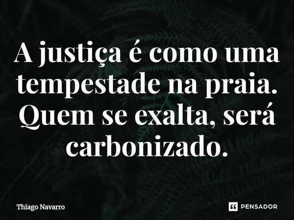 ⁠A justiça é como uma tempestade na praia. Quem se exalta, será carbonizado.... Frase de Thiago Navarro.