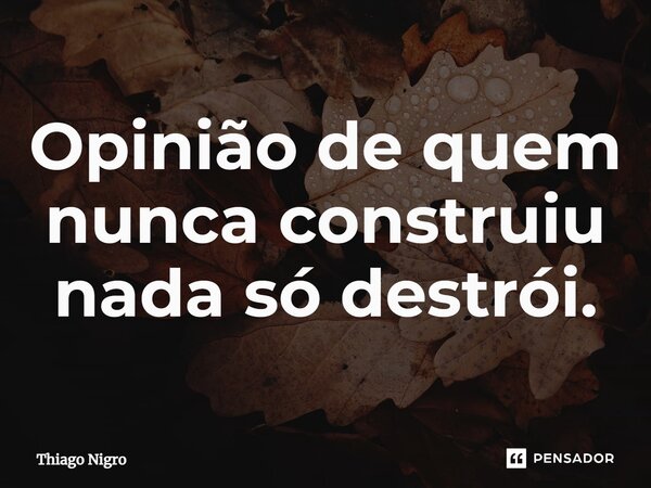 ⁠Opinião de quem nunca construiu nada só destrói.... Frase de Thiago Nigro.