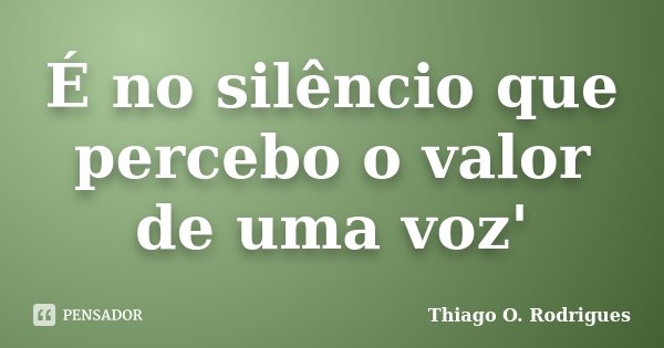É no silêncio que percebo o valor de uma voz'... Frase de Thiago O. Rodrigues.