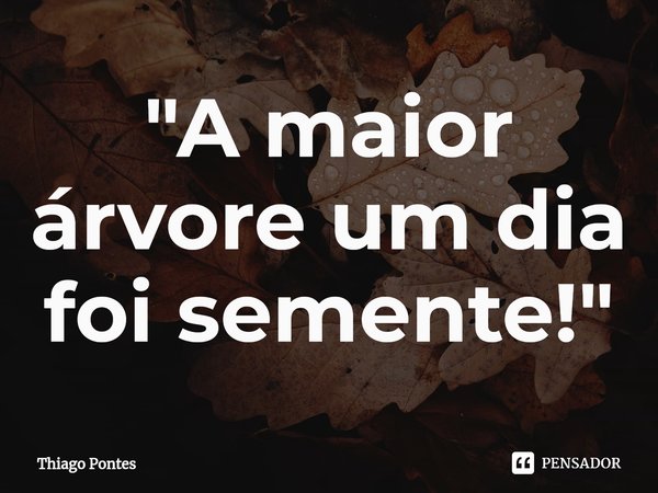 ⁠"A maior árvore um dia foi semente!"... Frase de Thiago Pontes.