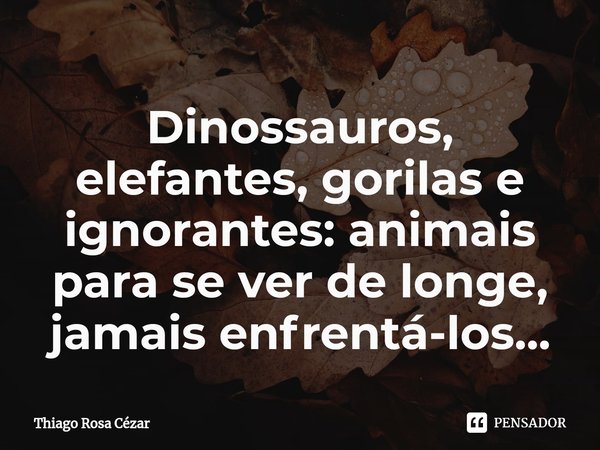 ⁠Dinossauros, elefantes, gorilas e ignorantes: animais para se ver de longe, jamais enfrentá-los...... Frase de Thiago Rosa Cézar.