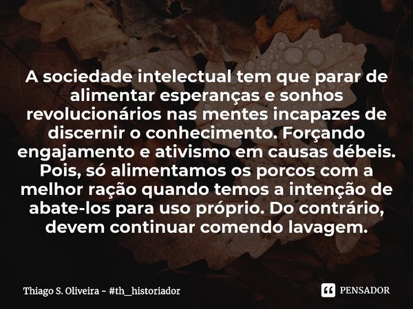 ⁠A sociedade intelectual tem que parar de alimentar esperanças e sonhos revolucionários nas mentes incapazes de discernir o conhecimento. Forçando engajamento e... Frase de Thiago S. Oliveira - th_historiador.