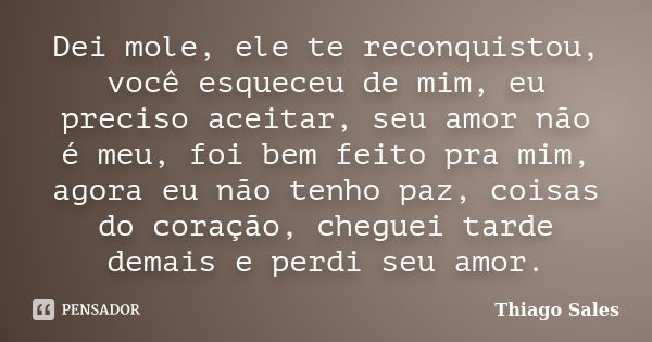 Dei mole, ele te reconquistou, você esqueceu de mim, eu preciso aceitar, seu amor não é meu, foi bem feito pra mim, agora eu não tenho paz, coisas do coração, c... Frase de Thiago Sales.