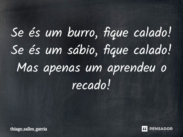 Se és um burro, fique calado! Se és um sábio, fique calado! Mas apenas um aprendeu o recado!... Frase de thiago_salles_garcia.