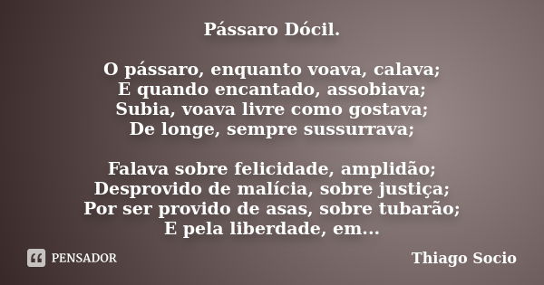 Pássaro Dócil. O pássaro, enquanto voava, calava; E quando encantado, assobiava; Subia, voava livre como gostava; De longe, sempre sussurrava; Falava sobre feli... Frase de Thiago Socio.