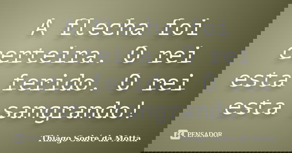 A flecha foi certeira. O rei esta ferido. O rei esta sangrando!... Frase de Thiago Sodré da Motta.