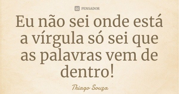 Eu não sei onde está a vírgula só sei que as palavras vem de dentro!... Frase de Thiago Souza.