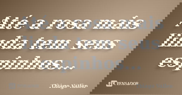 Até a rosa mais linda tem seus espinhos...... Frase de Thiago Vallen.