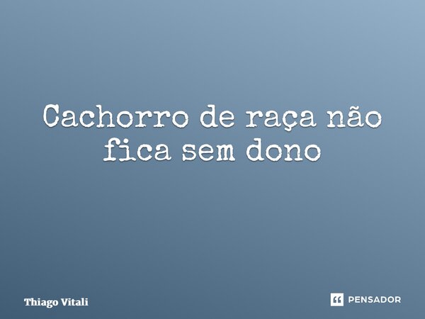 Cachorro de raça não fica sem dono ⁠... Frase de Thiago Vitali.