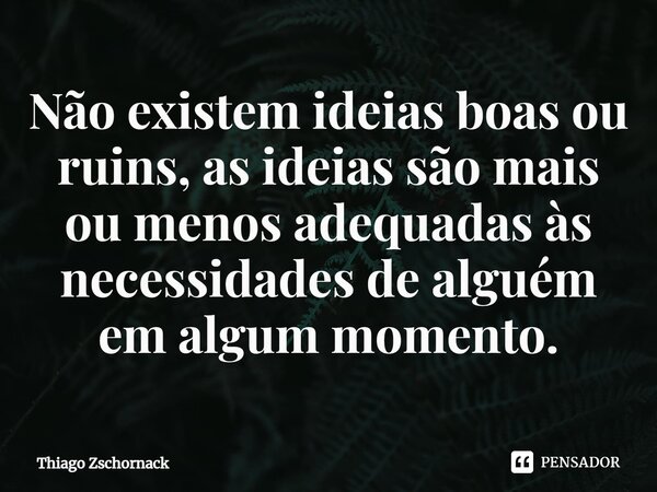 ⁠Não existem ideias boas ou ruins, as ideias são mais ou menos adequadas às necessidades de alguém em algum momento.... Frase de Thiago Zschornack.