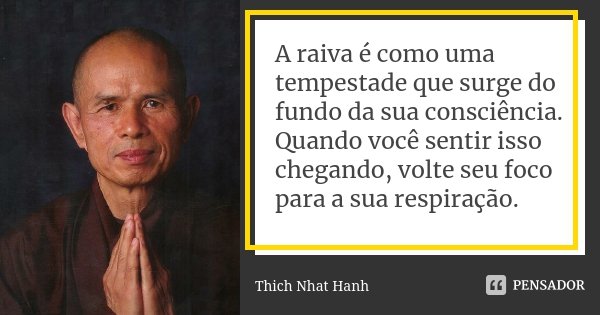 A raiva é como uma tempestade que surge do fundo da sua consciência. Quando você sentir isso chegando, volte seu foco para a sua respiração.... Frase de Thich Nhat Hanh.